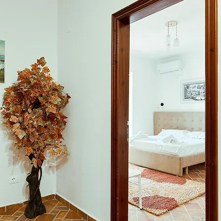 Guest house Vizion Hotel-double